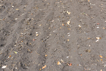 Dug up land with a walk-behind tractor.