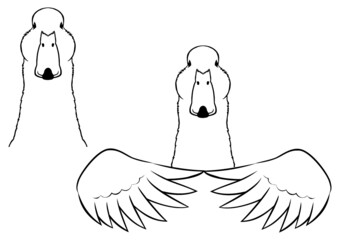 duck head and upper body logo bundle