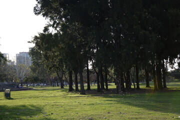 walk in the park