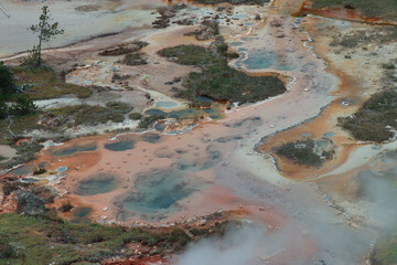 Yellowstone National Park Srtist's Paint Pots Thermal Features