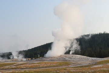 Yellowstone National Park Geyser Erupting