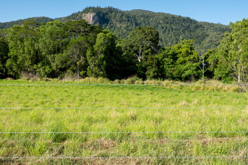 Barbed Wire Fence Across Country Paddock