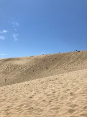 sand dunes in park