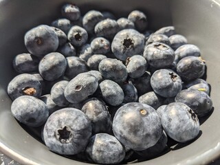 Fresh and tasty blueberries. Berry background.