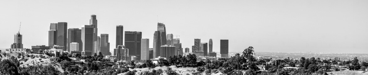 Grassy overlook of Los Angeles Panorama