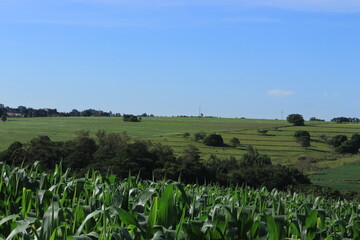 field and sky