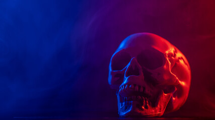 Human skull in pink and blue smoke on a black background. Halloween.