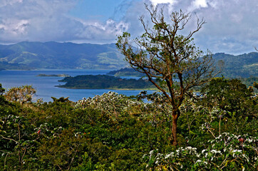 Lago Arenal. Costa Rica.