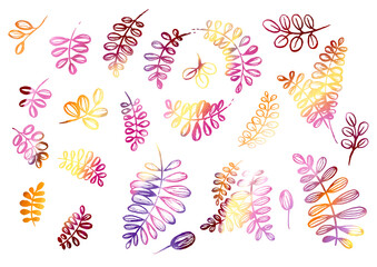 Fototapeta na wymiar Watercolor artistic multicolor Set of floral elements in the style of line art wedding theme on a white background. Doodle and scribble. Orange, brown, yellow, violet, red and purple leafs for