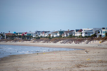 A line of Beach Homes from Isle of Palms, South Carolina