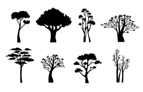 Trees silhouette on white background vector illustration EPS10
