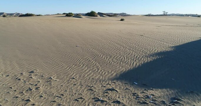 Aerial drone dolly shot of plants on sand dunes, Beris of darak, persian gulf or oman sea coast of chabahar, iran.