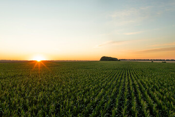 Fototapeta na wymiar Aerial view of agricultural field at sunrise