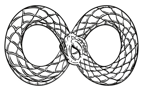 A Snake Eating its Tail in an Infinite Loop, Vector Illustration