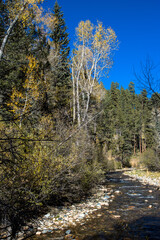 The Pecos River in New Mexico’s Pecos River Canyon State Park in the Sangre de Cristo Mountains