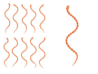 Animal Animation Sequence Corn Snake Cartoon Vector - obrazy, fototapety, plakaty