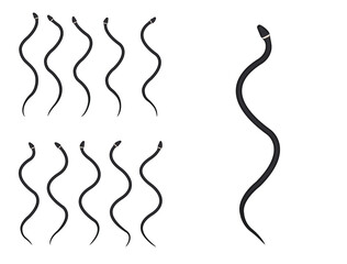 Animal Animation Sequence Ringneck Snake Cartoon Vector