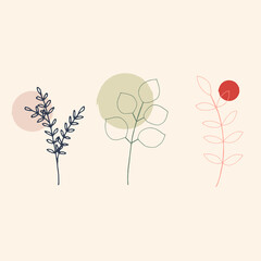 Minimalistic mid-century design with leaves and geometric shapes. Suitable for mark, for package design.