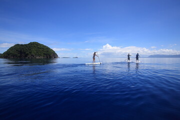 Fototapeta premium people paddling sup standup paddle boards in calm blue waters. Philippines