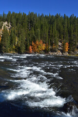 Obraz premium white water rapids