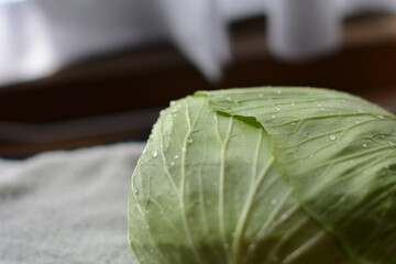 新鮮なキャベツ