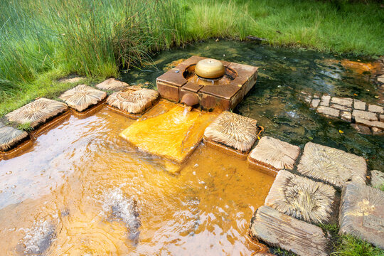  national natural reserve SOOS, Western Bohemia, Czech republic