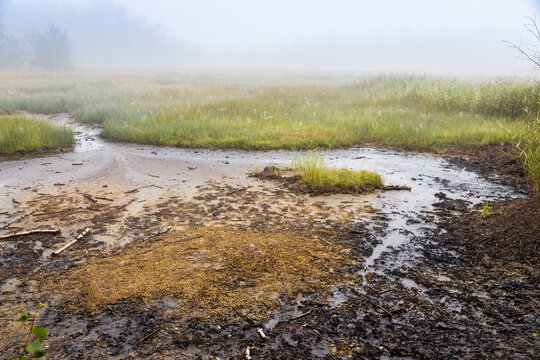  national natural reserve SOOS, Western Bohemia, Czech republic