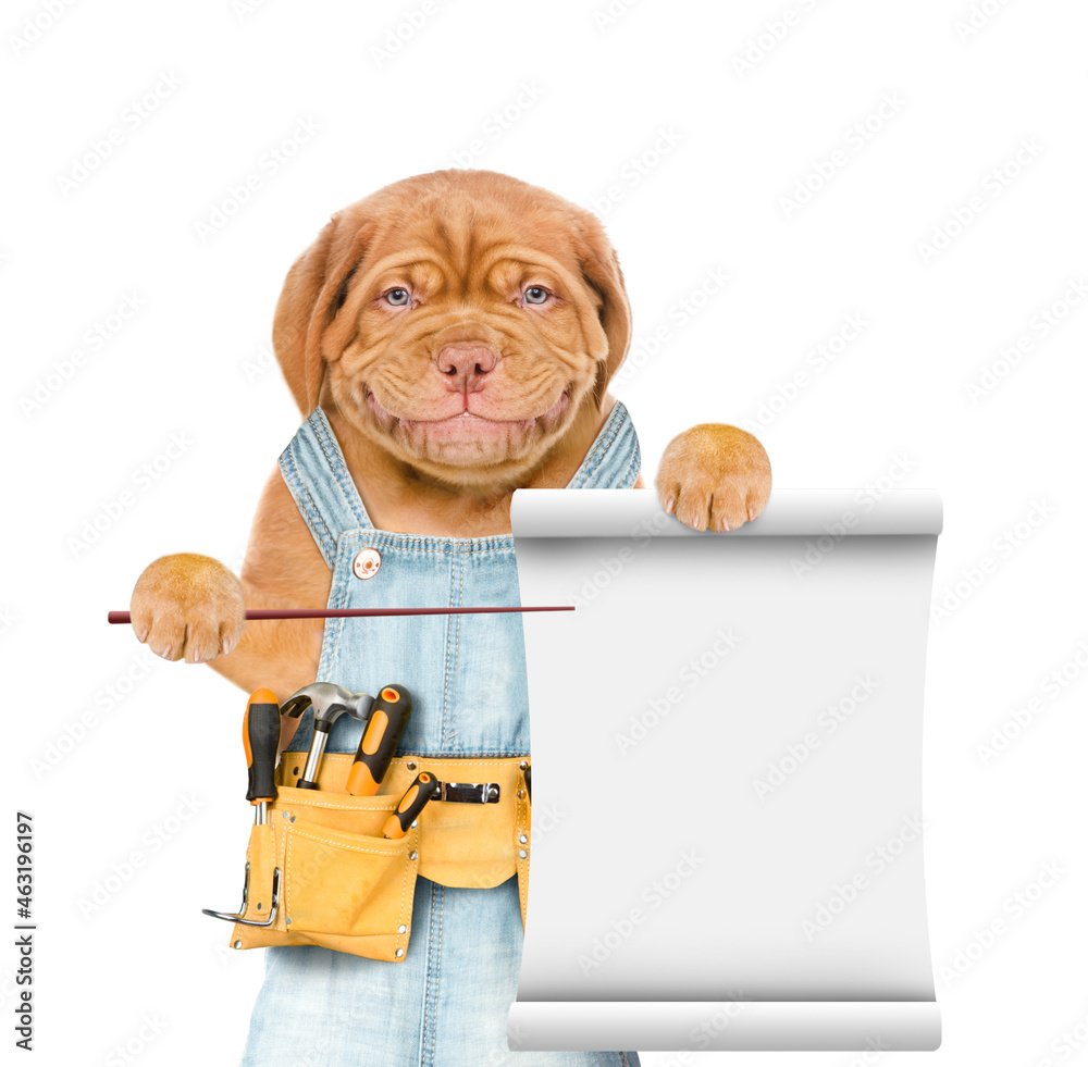 Aufkleber Funny puppy wearing overalls with tool belt points on empty list. Isolated on white background