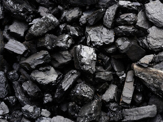 Black pieces of coal shine. 