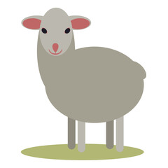 small sheep