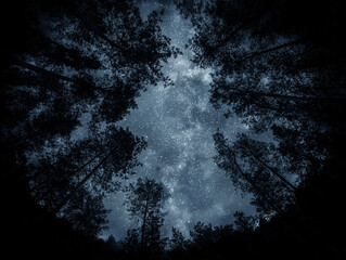 View of the stars and the Milky Way against the backdrop of the forest. Night starry sky over the forest.  Elements of this image furnished by NASA.