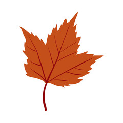 Red Maple tree leaf clip art