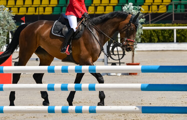Rider and horse in jumping show. Beautiful girl on sorrel horse in jumping show, equestrian sports....
