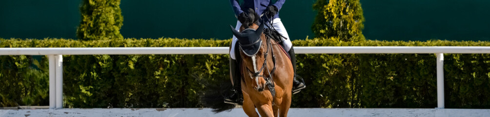 Fototapeta premium Rider and horse in jumping show. Man on sorrel horse in jumping show, equestrian sports. Light-brown horse and man in uniform going to jump. Horizontal web header or banner design.