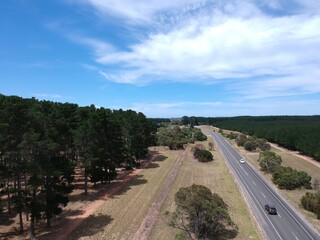 Australian Outback Forest Road