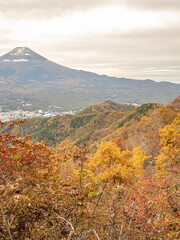 mountain in autumn