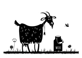 Goat and milk can. Farm animal. Pasture. Milk. Black silhouettes on white background. Vector illustration. 
