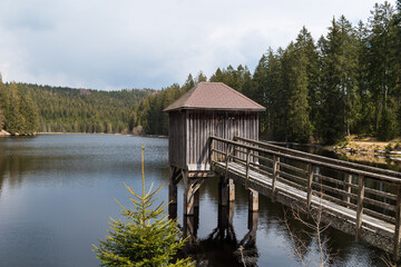 Obraz premium small lake in the Waldviertel