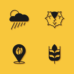 Set Cloud with rain and sun, Wheat, Location leaf and Chestnut icon with long shadow. Vector