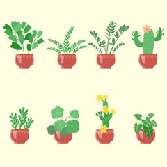 Houseplants set. Isolated vector images. Flat plane style.  Graphic design template.