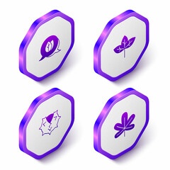 Set Isometric Leaf, Chestnut and leaf icon. Purple hexagon button. Vector