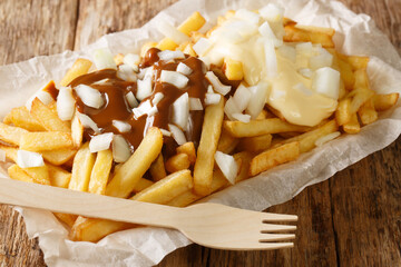 Dutch fast food Patatje oorlog French fries with sauces and fresh onions close-up in a plate on the...