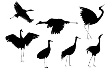 Set of japanese crane in black color. Silhouette.