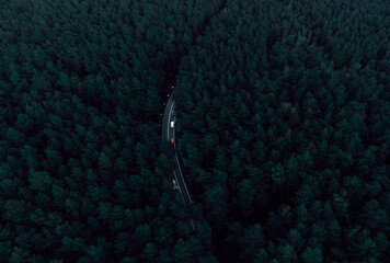 highway in forest