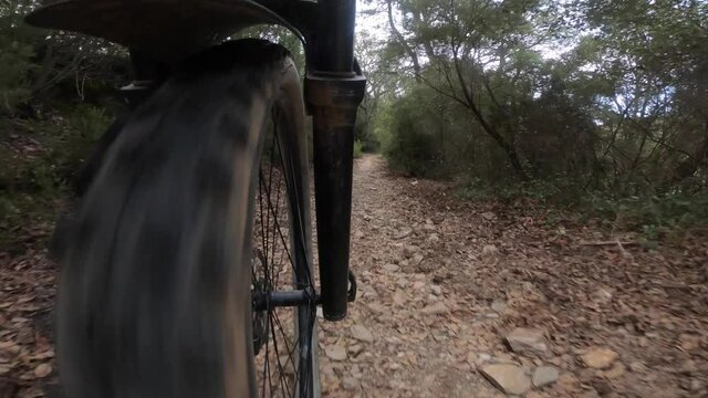 Front mountain bike wheel point of view riding a forest trail