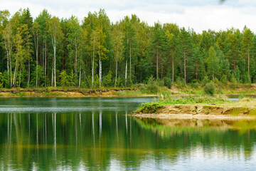 Obraz premium Trees on the shore of a forest lake. 