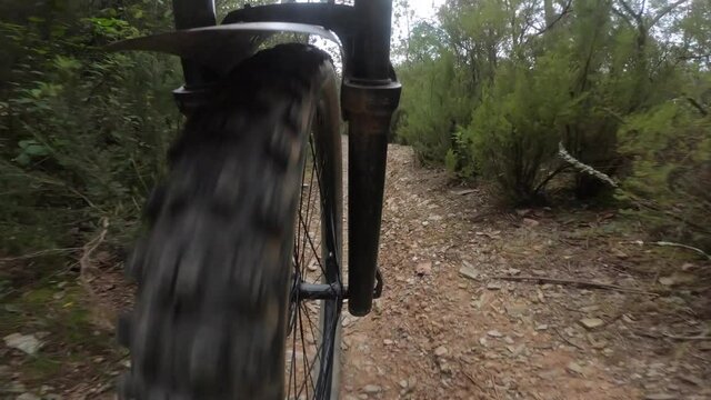 Front mountain bike wheel point of view riding a forest trail