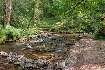 Long exposure of the Horner Water river flowing through Horner woods in Somerset