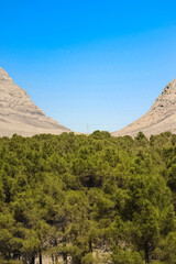 landscape of the mountains