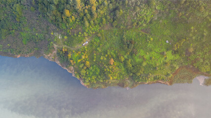 green moss on concrete